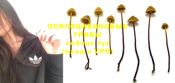 прущий лед Абдулино