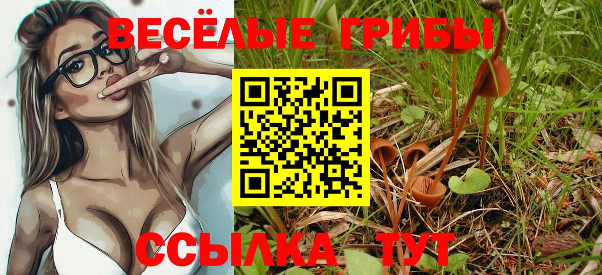 Псилоцибиновые грибы Magic Shrooms  Вход с VPN  где продают   Тольятти 
